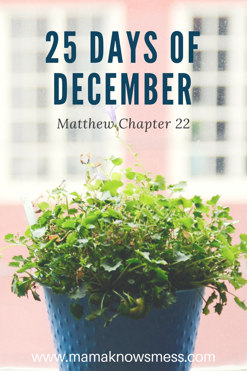 25 Days of December: Matthew Chapter 22